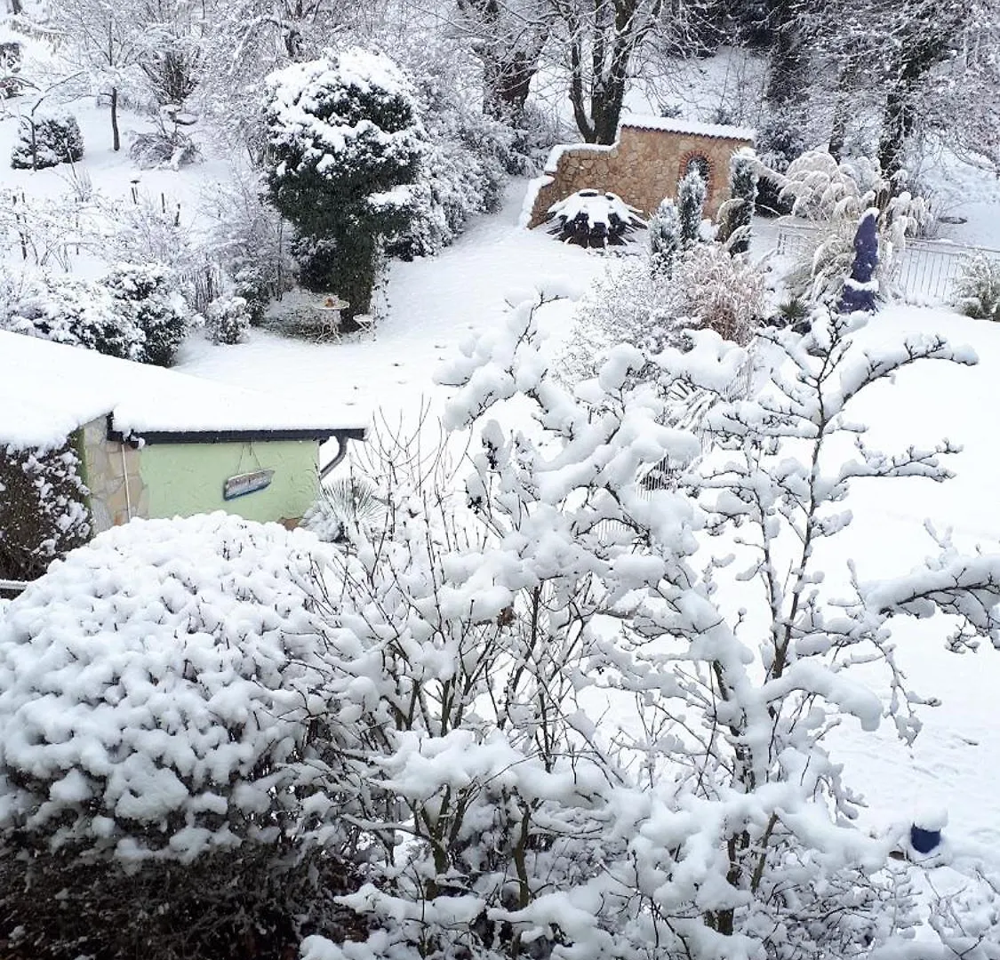 Ferienwohnung Pension Am Weinberg Mainstockheim Apartment